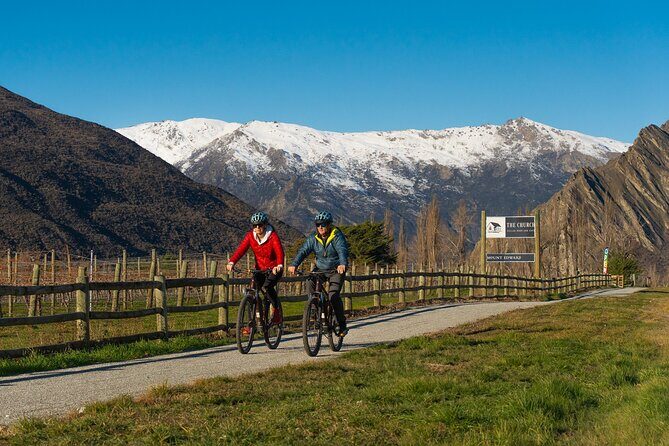 Bike The Wineries (1/2 Day) - Quick Pedal to Pinot - Trail reality check: comfort, navigation, and bike issues to plan for