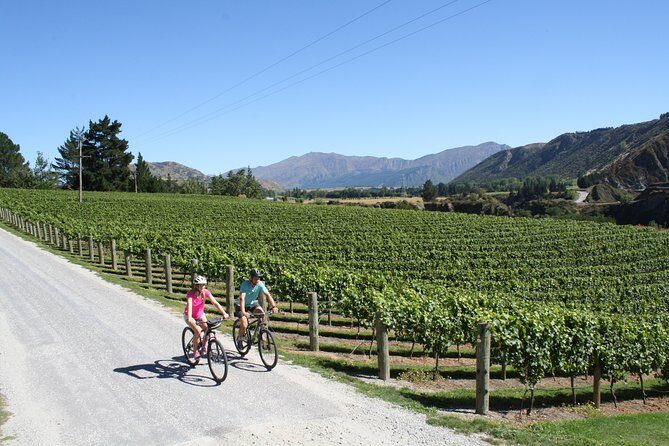 Bike The Wineries (3/4 Day) - Ride Through Queenstown Vineyards - Trail effort: the fitness level reality check
