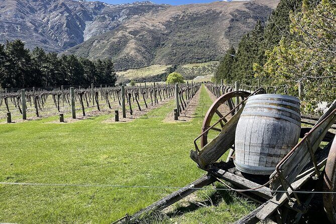 Bike & Wine Tour: Arrowtown to Valley of the Vines - Key points you’ll care about before you book