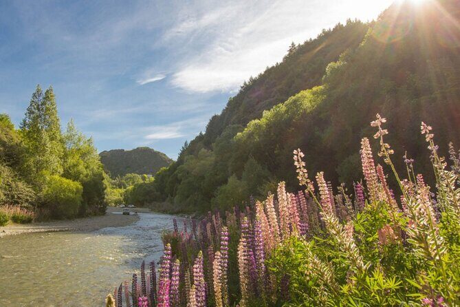 Bike & Wine Tour: Arrowtown to Valley of the Vines - How hard is the ride, really? Regular bikes vs e-bikes