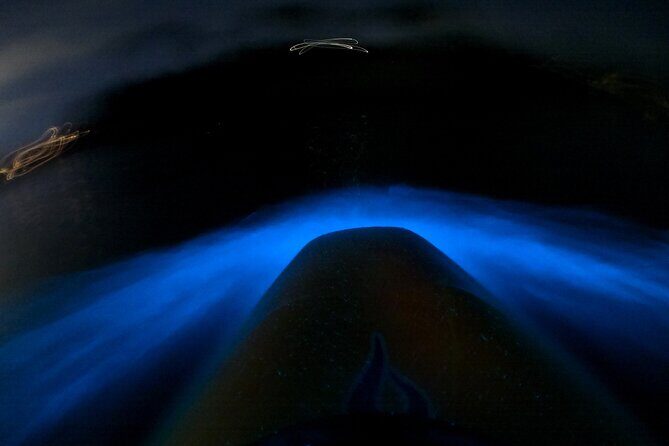 Bioluminescence Kayak Tour - Est. 1994 - Key things I’d circle before you book