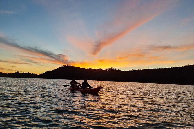 Bioluminescence Kayak Tour - Est. 1994 - Why Auckland nights turn into a science show