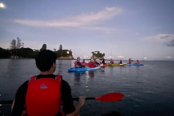 Bioluminescence Kayak Tour - Est. 1994 - Stop-by-stop flow: what you’ll do during the 2 hours