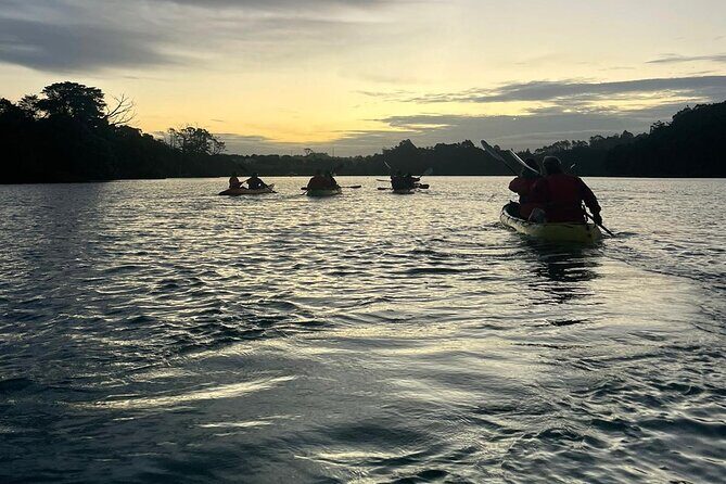 Bioluminescence Kayak Tour - Est. 1994 - Guides and group size: why the small ratio matters