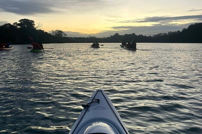 Bioluminescence Kayak Tour - Est. 1994 - The bioluminescence reality check: how bright should you expect it?