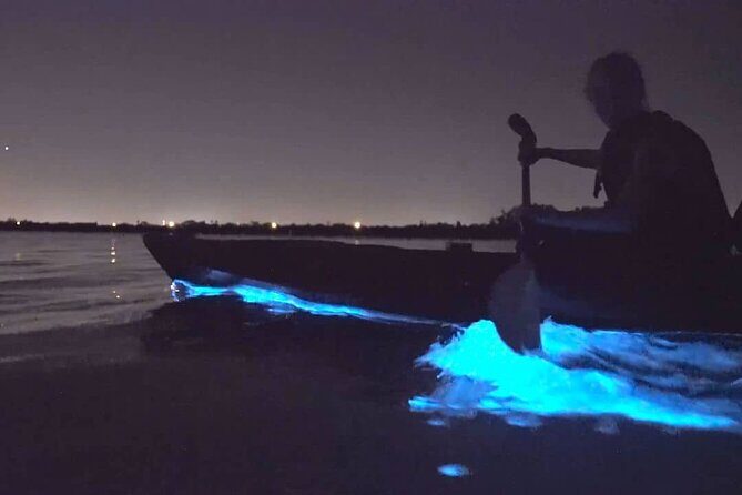 Bioluminescence Kayak Tour - Est. 1994 - Price and value: $73.85 for a night that’s hard to replicate