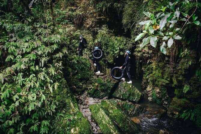 Black Labyrinth: Black Water Rafting - Private Tour from Auckland - Kiwi House in Otorohanga: a different kind of thrill