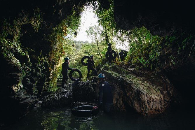 Black Water Rafting Experience Waitomo Caves Tour - Black Labyrinth vs Black Abyss: Choose Your Thrill Level