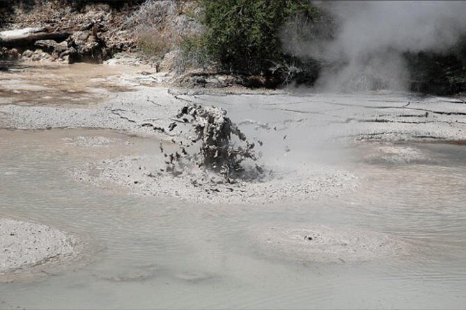 Boutique tour , Mt Maunganui, NZ farm, Rotorua lakes/geothermal - Why this Mt Maunganui to Rotorua shore day works