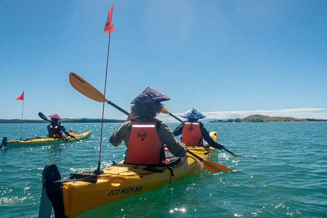 Browns Island Motukorea Sea Kayak Tour - What Browns Island (Motukorea) is really about