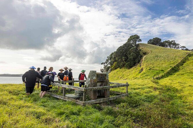 Browns Island Motukorea Sea Kayak Tour - Price and value for a 4-hour guided sea-kayak