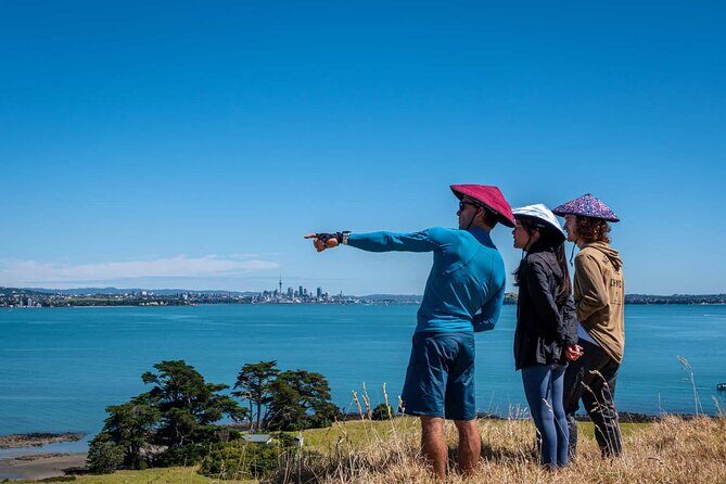 Browns Island Motukorea Sea Kayak Tour - Who should book this tour, and who should practice first