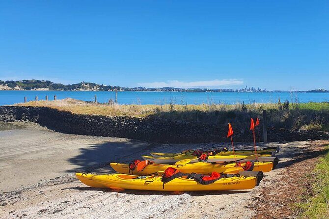 Browns Island Motukorea Sea Kayak Tour - Kayak day in Auckland: timing, group size, and how the pace feels
