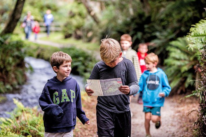 Buried Village of Te Wairoa - Te Wairoa’s Ash-Era Story: Where Rotorua’s Geothermal Power Turns Human