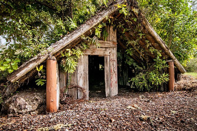 Buried Village of Te Wairoa - Waterfall Trail to Wairere Falls: The Walk That’s Worth Working For