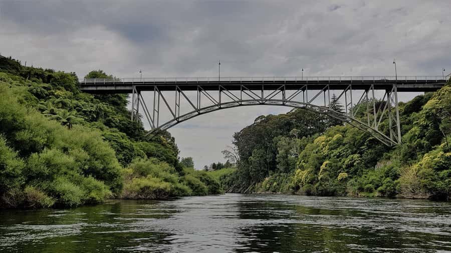Cambridge, Matamata, Waitomo: 1-Hour Ecological River Cruise - A safety briefing first, then your driver tunes the ride