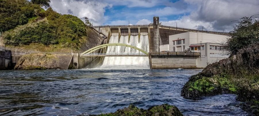Cambridge, Matamata, Waitomo: 1-Hour Ecological River Cruise - How the eco angle fits a speedboat ride