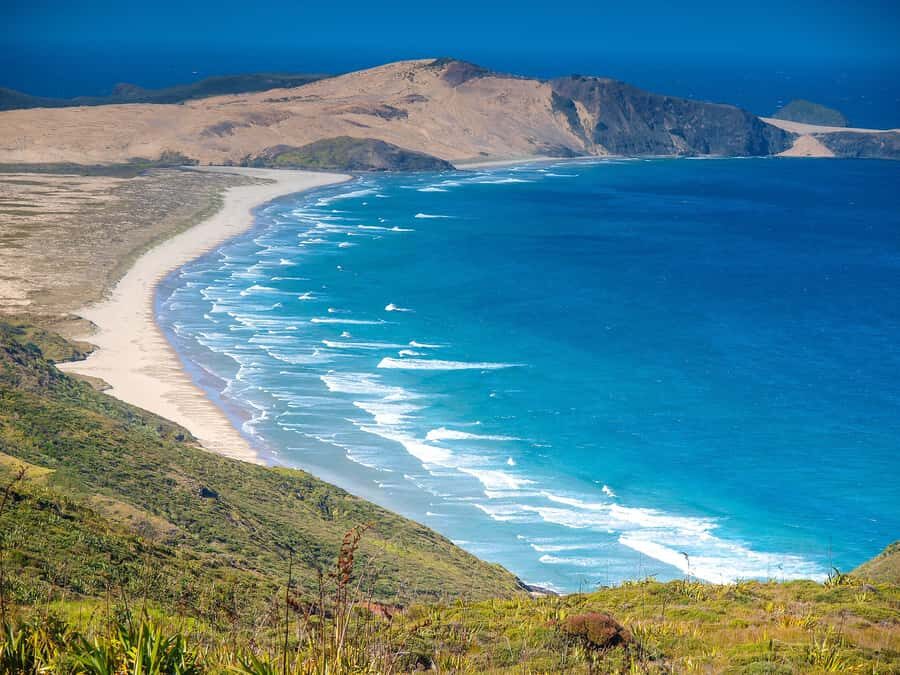 Cape Reinga: Day Trip from Paihia, Kerikeri, or Kaitaia - Key highlights worth your attention