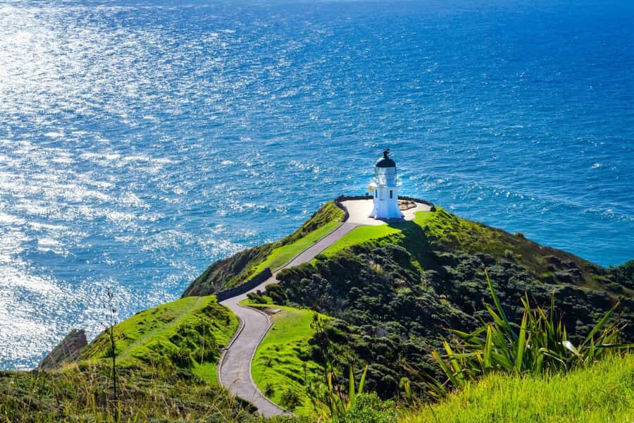 Cape Reinga: Day Trip from Paihia, Kerikeri, or Kaitaia - Driving the Far North to Cape Reinga: why this one-day plan works