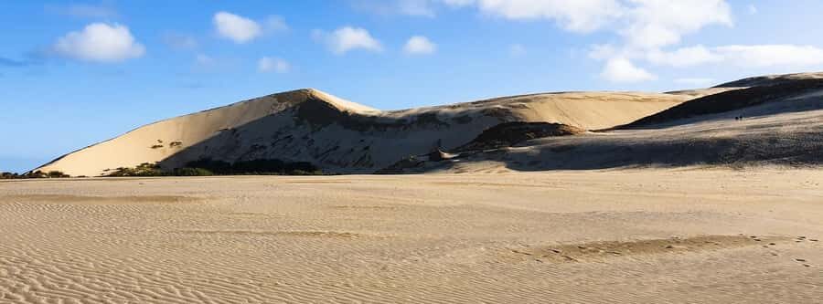 Cape Reinga: Day Trip from Paihia, Kerikeri, or Kaitaia - Cape Reinga lighthouse: two oceans crashing and a story you can feel