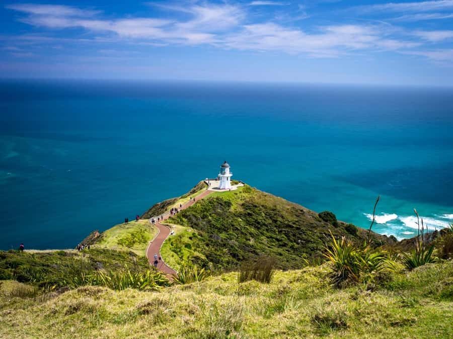 Cape Reinga: Day Trip from Paihia, Kerikeri, or Kaitaia - Pickup to drop-off: small van comfort and the timing you should plan for