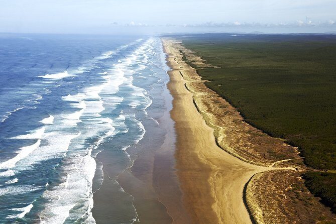 Cape Reinga Half-Day Tour Including Scenic Flight - Weather reality: fog, wet ground, and flight substitutions