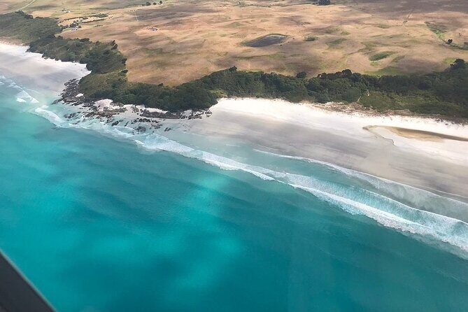 Cape Reinga Half-Day Tour Including Scenic Flight - The minibus tour: short stops that hit the essentials