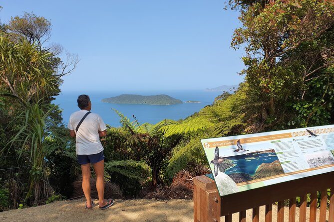 Captain Cook and Dolphin Cruise - Motuara Island and the bird-focused moments