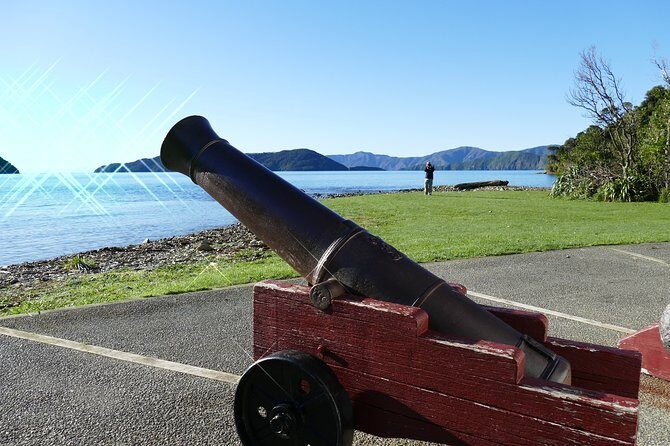 Captain Cook and Dolphin Cruise - Comfort, boat size, and weather: what to expect on the water