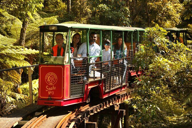 Captivating Railway Journey in Coromandel - Driving Creek Railway to EyeFull Tower: The Key Idea