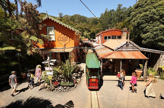 Captivating Railway Journey in Coromandel - What the Forest Climb Feels Like on a Short Timetable