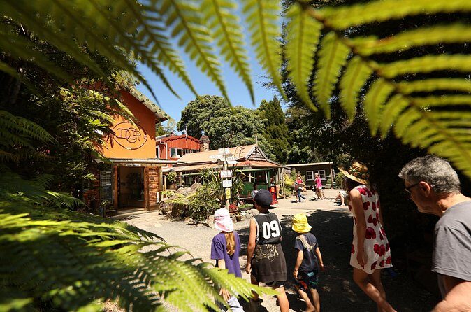 Captivating Railway Journey in Coromandel - Price and Value: Is $35.37 Worth It?