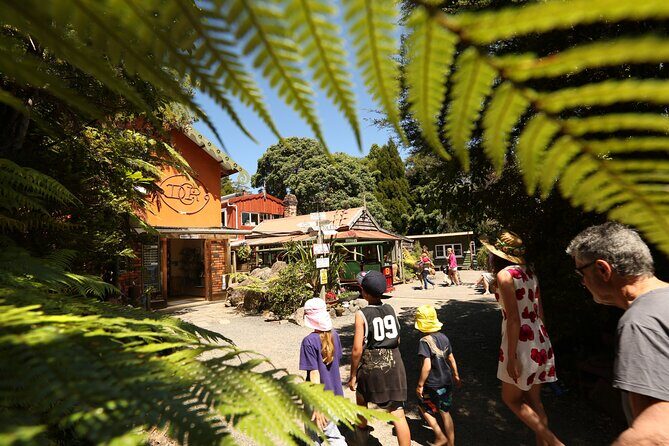 Captivating Railway Journey in Coromandel - Barry Brickell, Pottery, and the Conservation Story That Powers the Ride