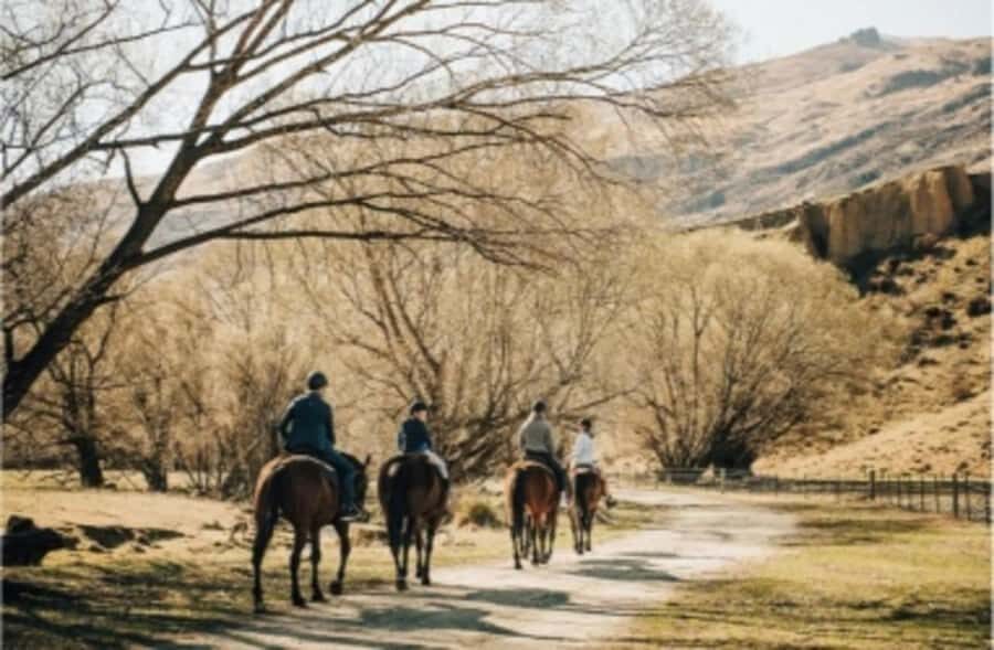 Cardrona Valley: Horse Trekking Experience - Key things to know before you book