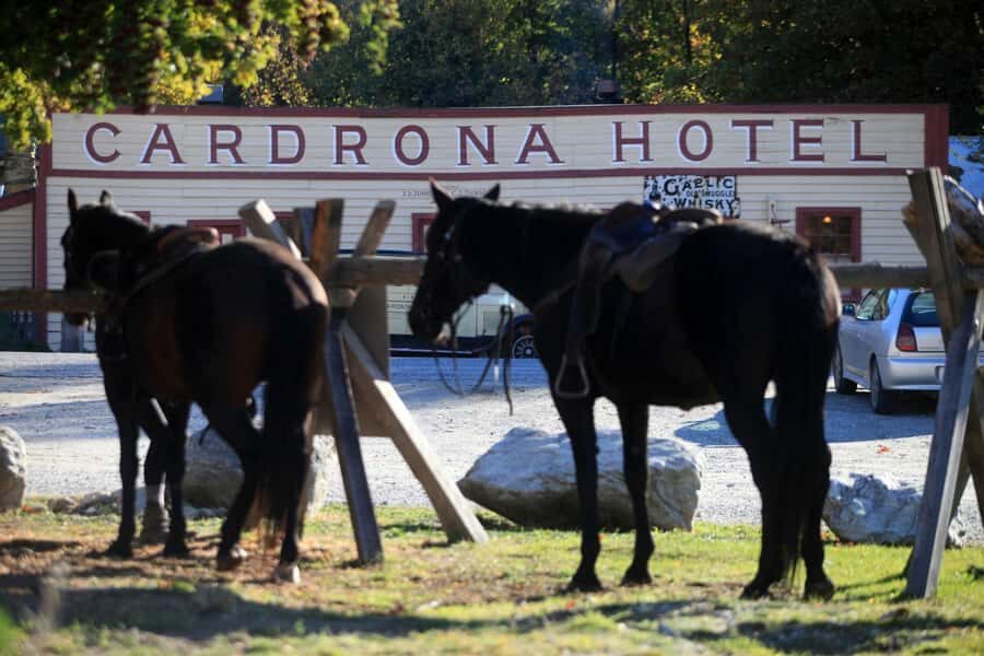 Cardrona Valley: Horse Trekking Experience - Meeting at Bra Fence and Getting Matched to Your Horse