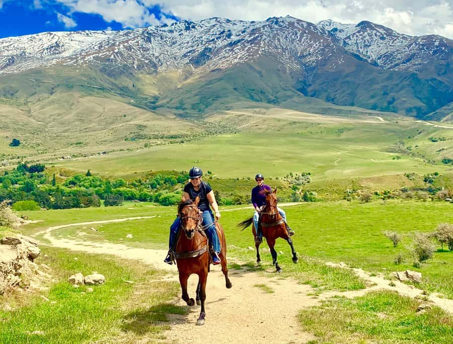 Cardrona Valley: Horse Trekking Experience - Loose Rein Riding in Cardrona Valley: Relax, But Stay in Control