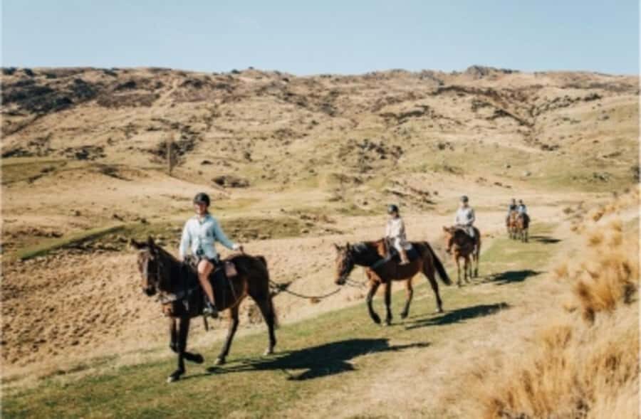 Cardrona Valley: Horse Trekking Experience - How Active Is the High Country Pub Trail Option?