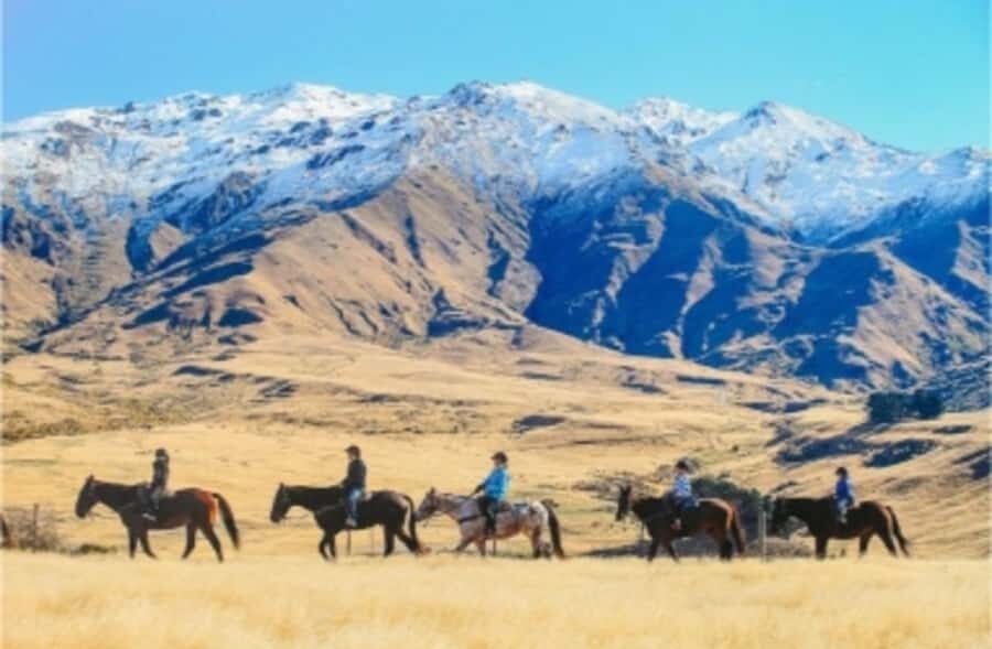 Cardrona Valley: Horse Trekking Experience - Who Should Skip This Ride (and Who Will Love It)