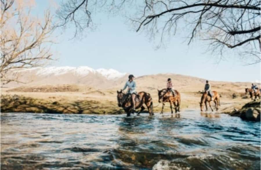 Cardrona Valley: Horse Trekking Experience - Price and Value: Is $298 Worth It?