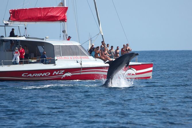 Carino Wildlife Cruises - Island and Wildlife Day Cruise - Key things I’d circle before booking