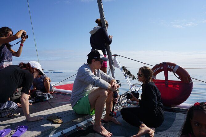 Carino Wildlife Cruises - Island and Wildlife Day Cruise - Lunch on Carino NZ: Kiwi BBQ energy, plus coffee and tea