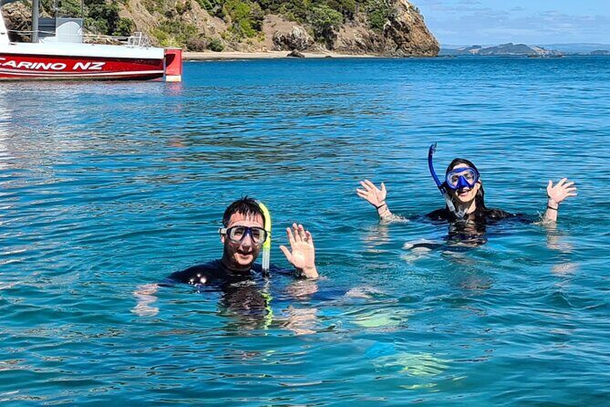 Carino Wildlife Cruises - Island and Wildlife Day Cruise - Value and pricing: what $136.53 buys you in the Bay of Islands