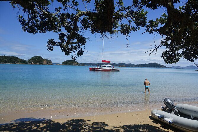 Carino Wildlife Cruises - Island and Wildlife Day Cruise - Planning your Bay of Islands morning in Paihia