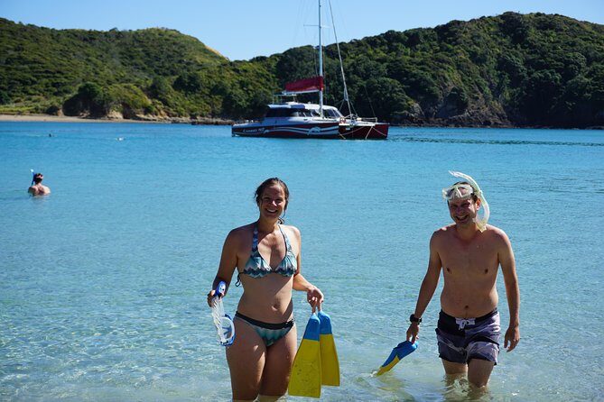 Carino Wildlife Cruises - Island and Wildlife Day Cruise - Dolphins, Penguins, and Birds: what you’re actually looking for