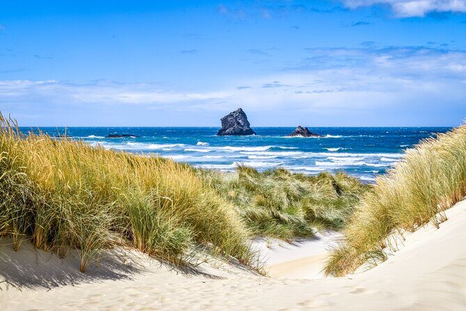 Castle, Coast & City Tour - 8 pax max - Castle Entrance Included - Key things that make this tour click