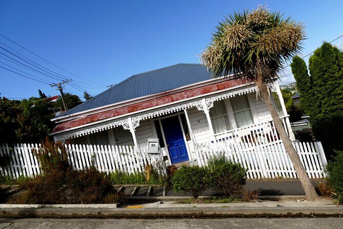 Castle, Coast & City Tour - 8 pax max - Castle Entrance Included - Smaills Beach and Highcliff Road: Pacific viewpoints before you head back