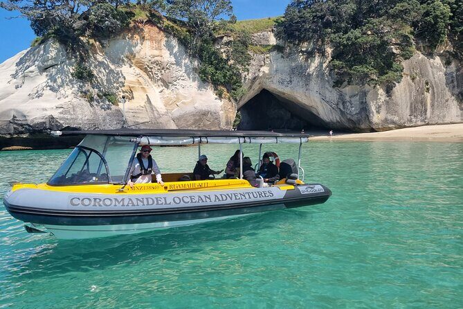 Cathedral Cove 2 Hour Guided Tour Explore Marine Wonders - Key highlights worth your attention