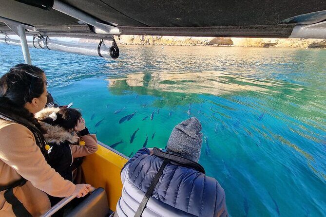 Cathedral Cove 2 Hour Guided Tour Explore Marine Wonders - Tairua Marina start: getting on the water without the headache