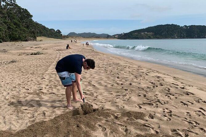 Cathedral Cove and Hot Water Beach Scenic Day Tour from Auckland - Food, water, and what you’ll actually spend