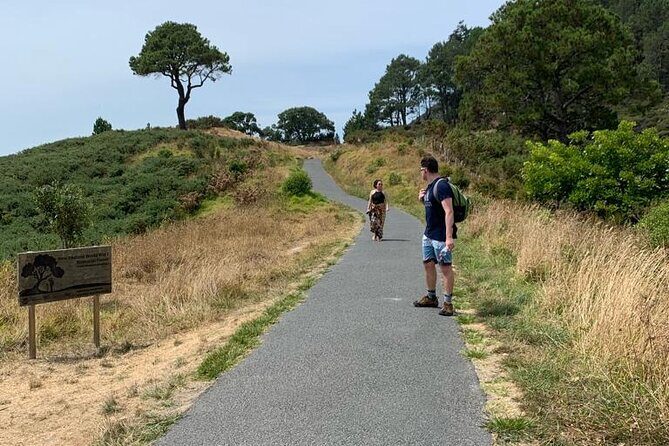 Cathedral Cove and Hot Water Beach Scenic Day Tour from Auckland - Weather and closures: why you should stay flexible
